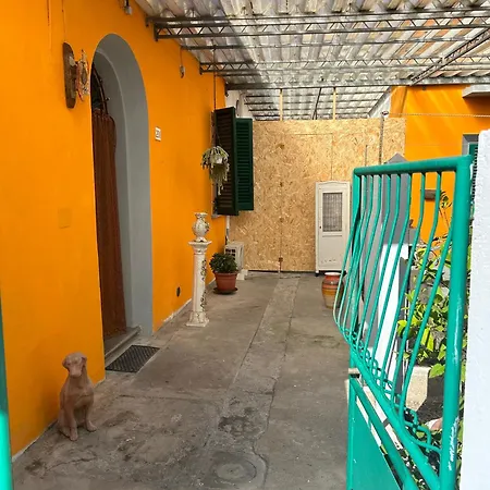 Carlitos Maison Pisa Exterior photo